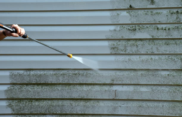 Best Insurance-Related Mold Remediation in Cottonwood Shores, TX