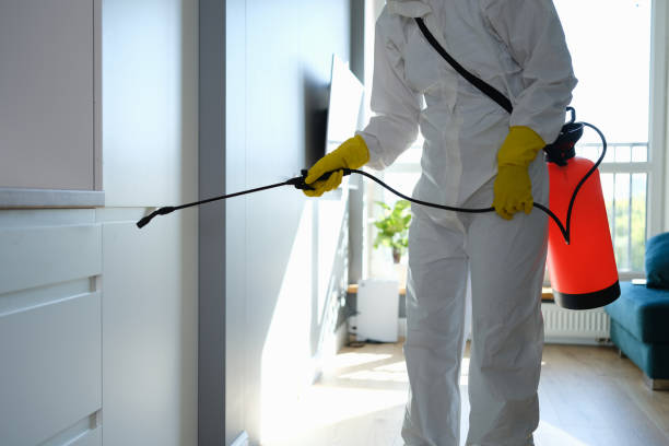 Best Post-Flood Mold Remediation in Cottonwood Shores, TX